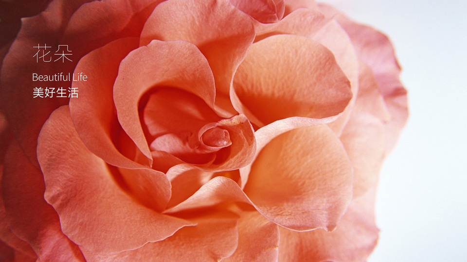 如何通過家電品牌VI設(shè)計提升企業(yè)形象和市場競爭力？