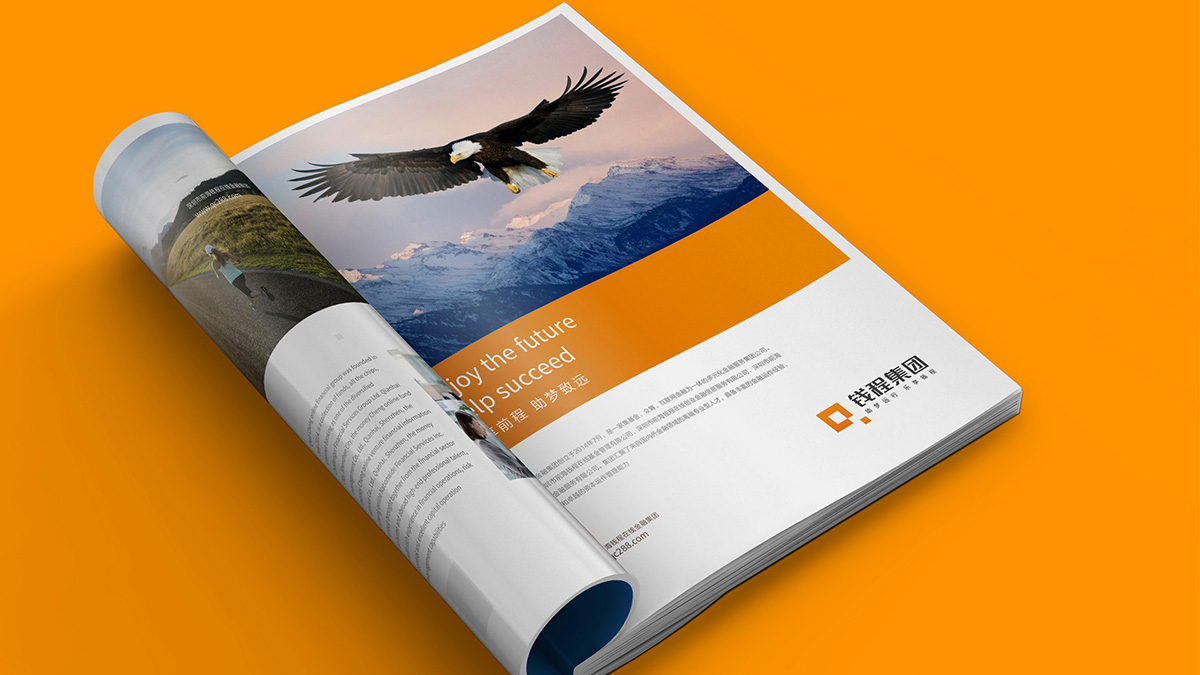 金融公司VI設(shè)計