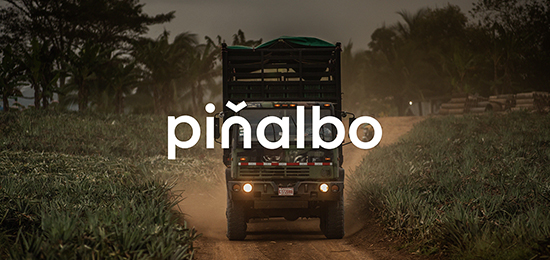 水果品牌形象設(shè)計(jì)